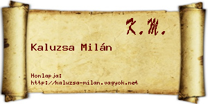 Kaluzsa Milán névjegykártya